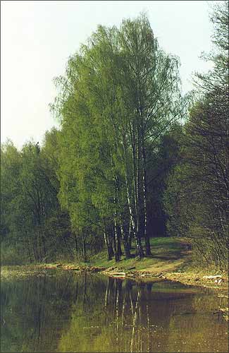 Возера Лосвiда. На Гарадоцкiм баку. 1998 г.