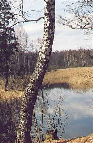 Рака Усыса (у верхним цячэннi Гаражанка) каля в. Прудок Гарадоцкага раена. 2001 г.